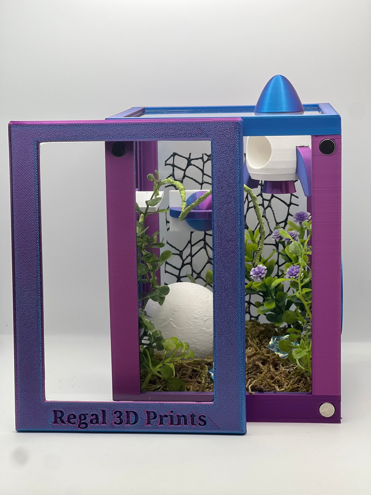 Cosmic Rocket Galaxy Decorated Jumping Spider Enclosure