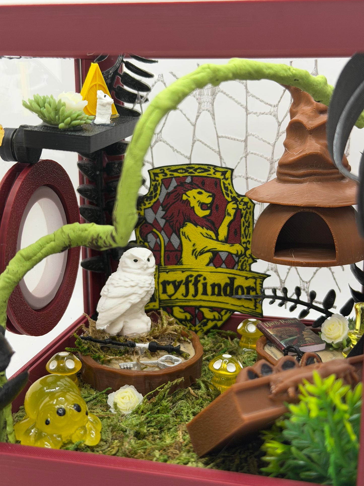 Wizard-Inspired Jumping Spider Enclosure | Habitat