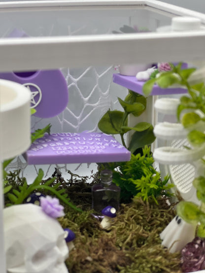 Ouija & Planchette Themed Jumping Spider Enclosure