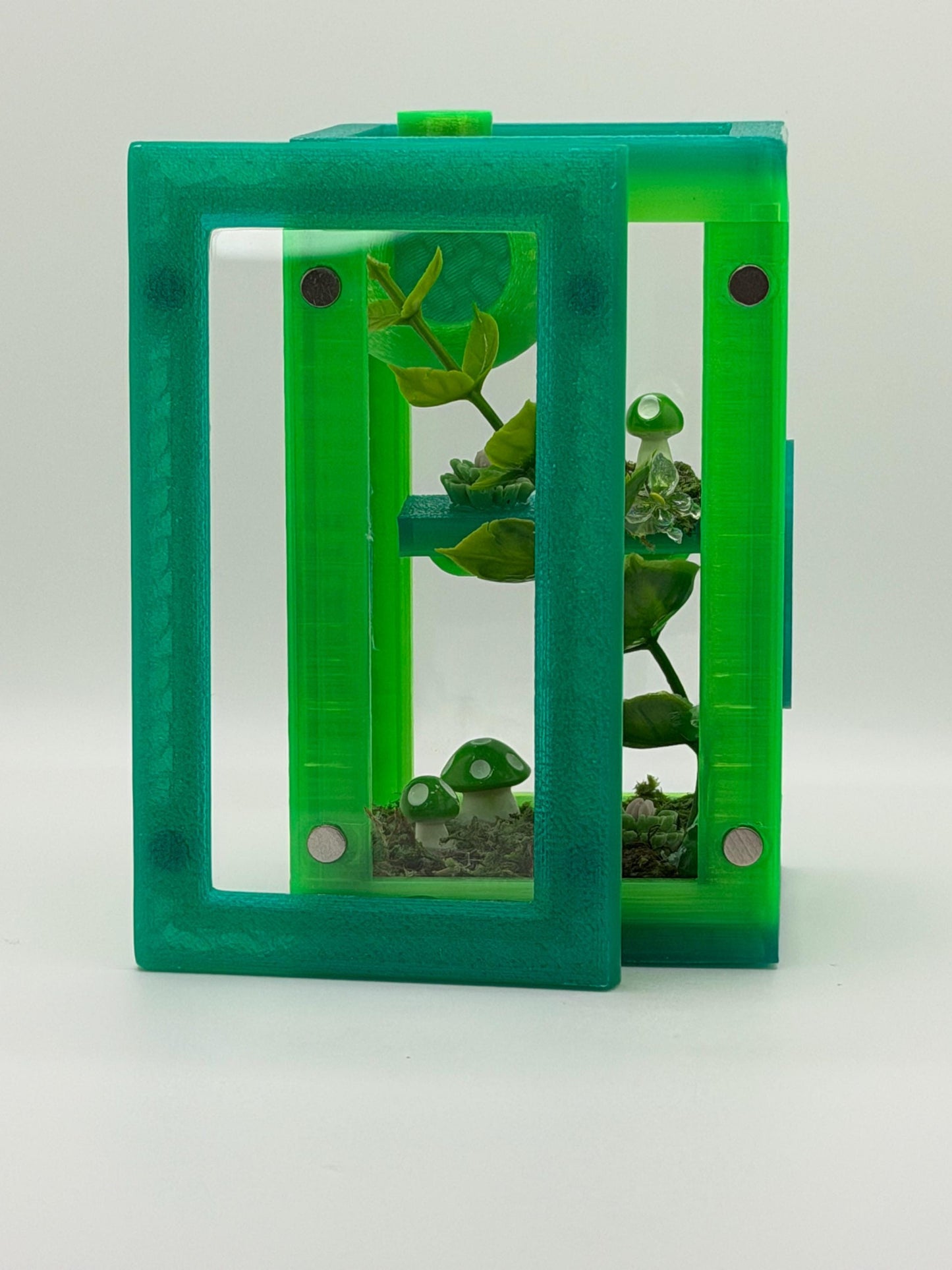 Decorated Jumping Spider Sling Enclosure