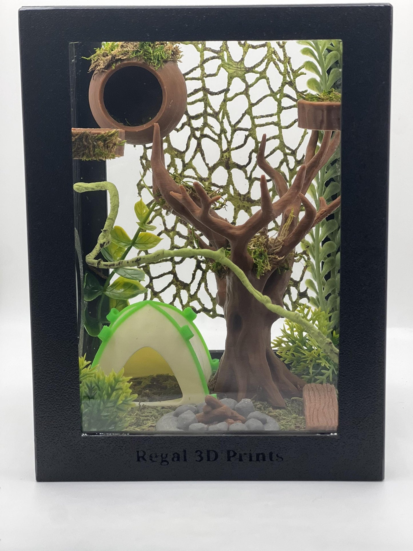 Forest Campout | Camping Decorated Jumping Spider Enclosure | Habitat