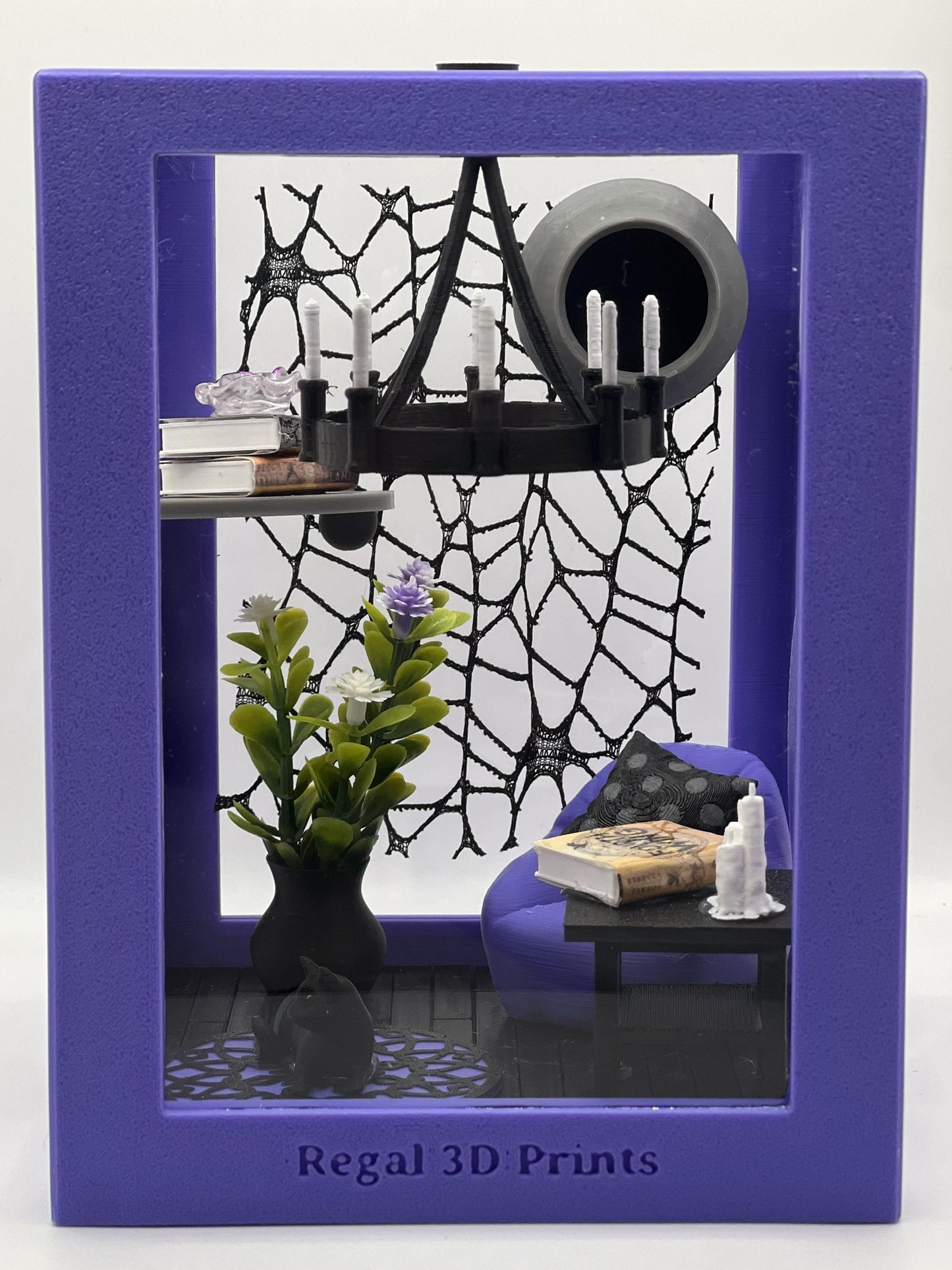 Reading Room Lounge Decorated Jumping Spider Enclosure