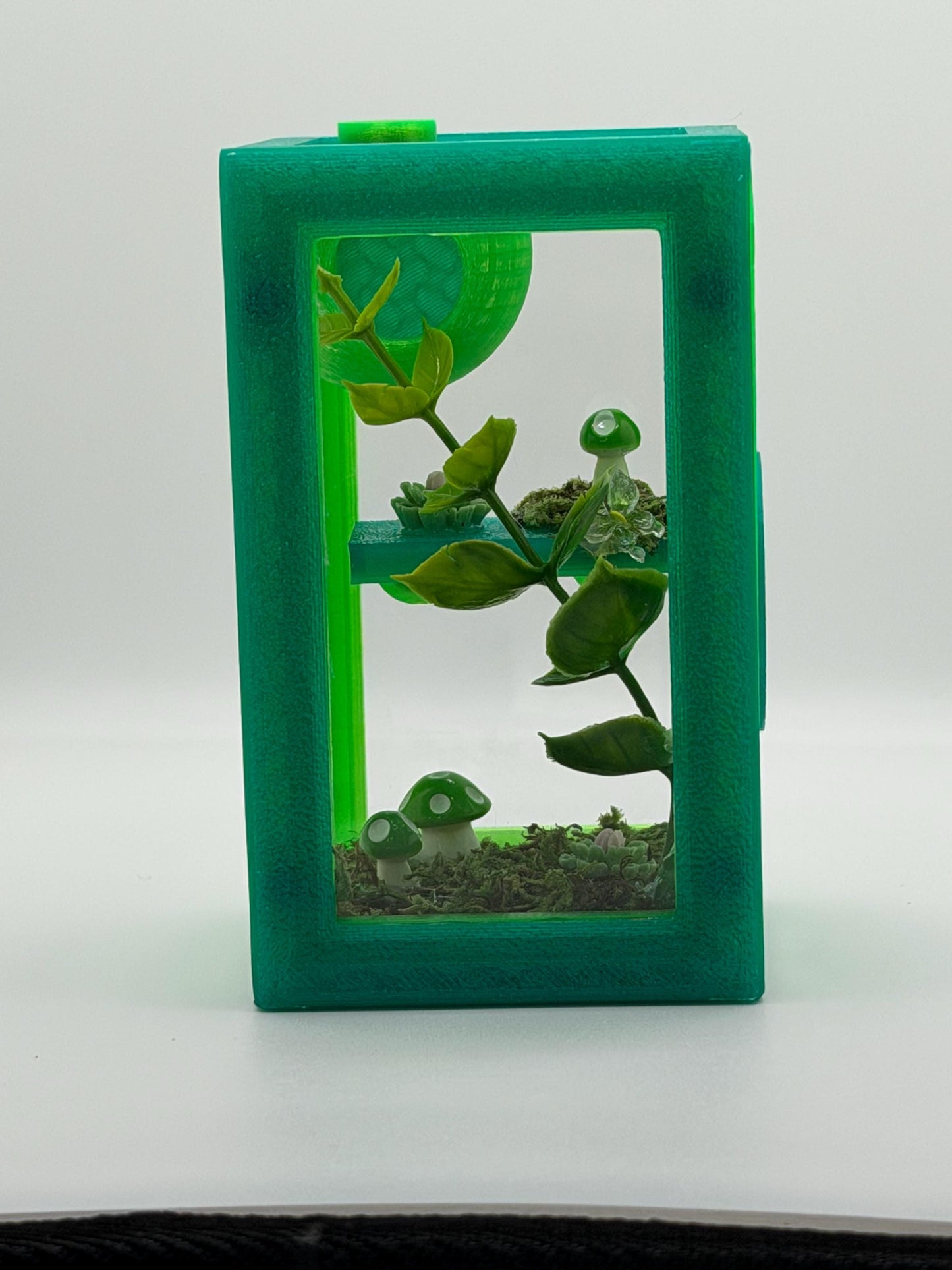 Decorated Jumping Spider Sling Enclosure