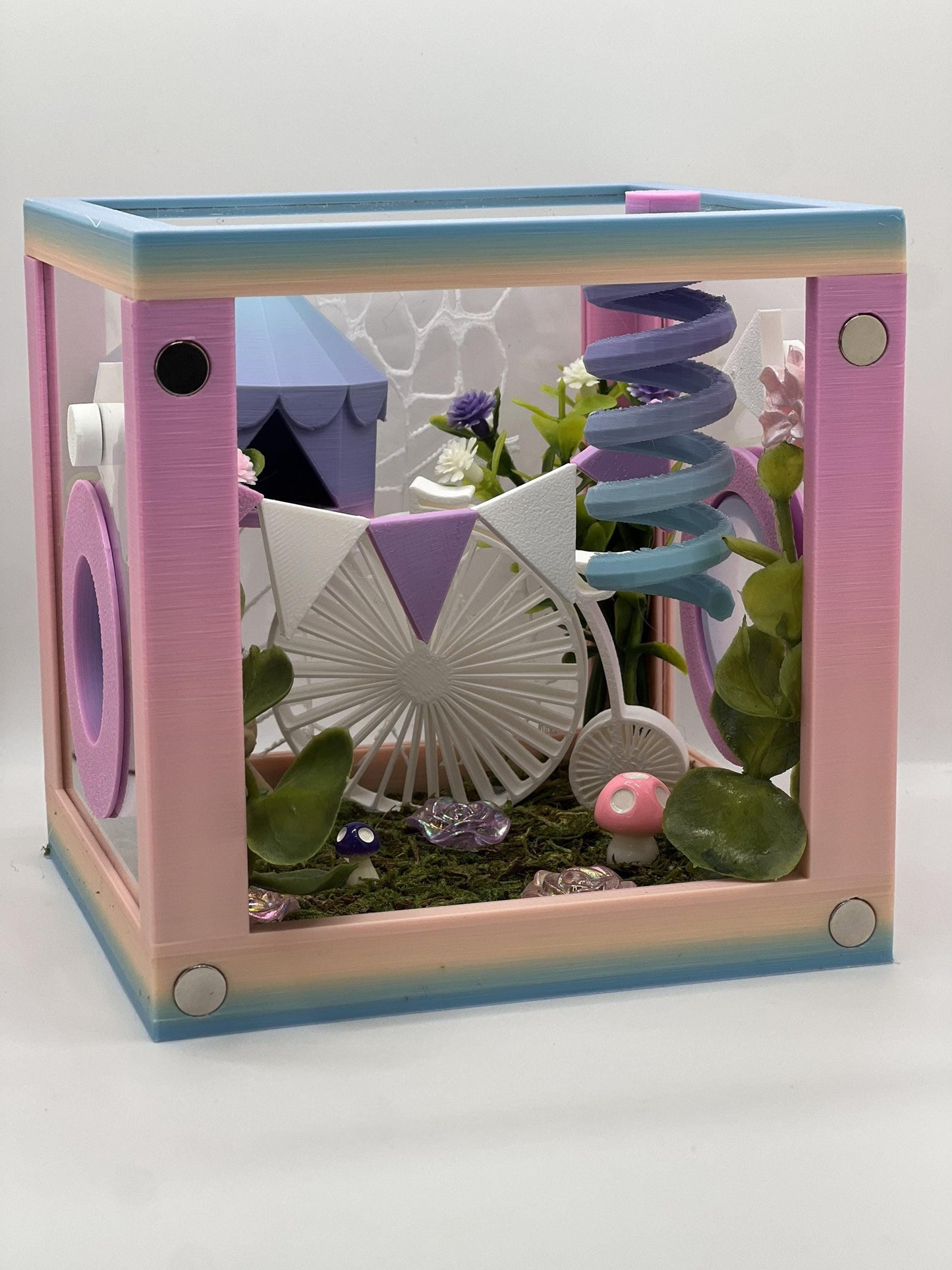 Circus-Themed Jumping Spider Decorated Enclosure | Habitat