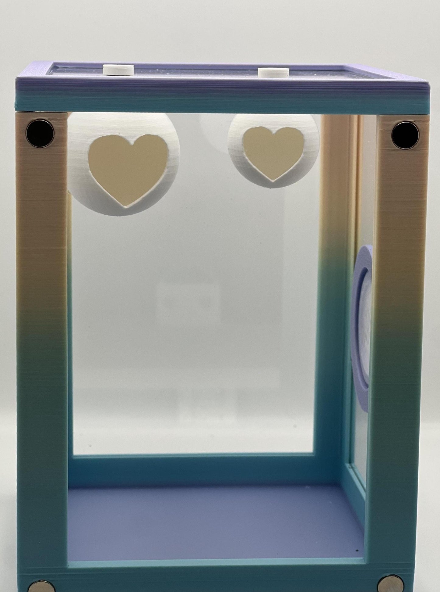 Magnetic Heart Ball Jumping Spider Hides