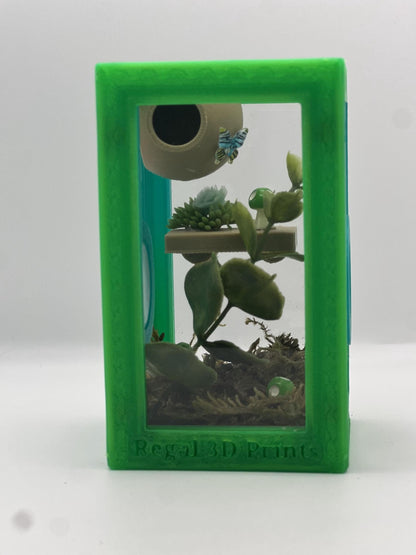 Decorated Jumping Spider Sling Enclosure