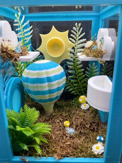 Hot Air Balloon Jumping Spider Enclosure | Habitat