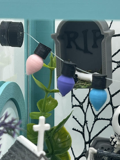 Fully Decorated Jumping Spider Enclosure | Habitat