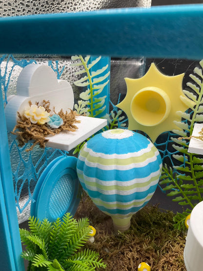 Hot Air Balloon Jumping Spider Enclosure | Habitat