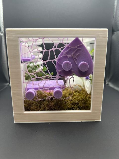 Ouija & Planchette Themed Jumping Spider Enclosure