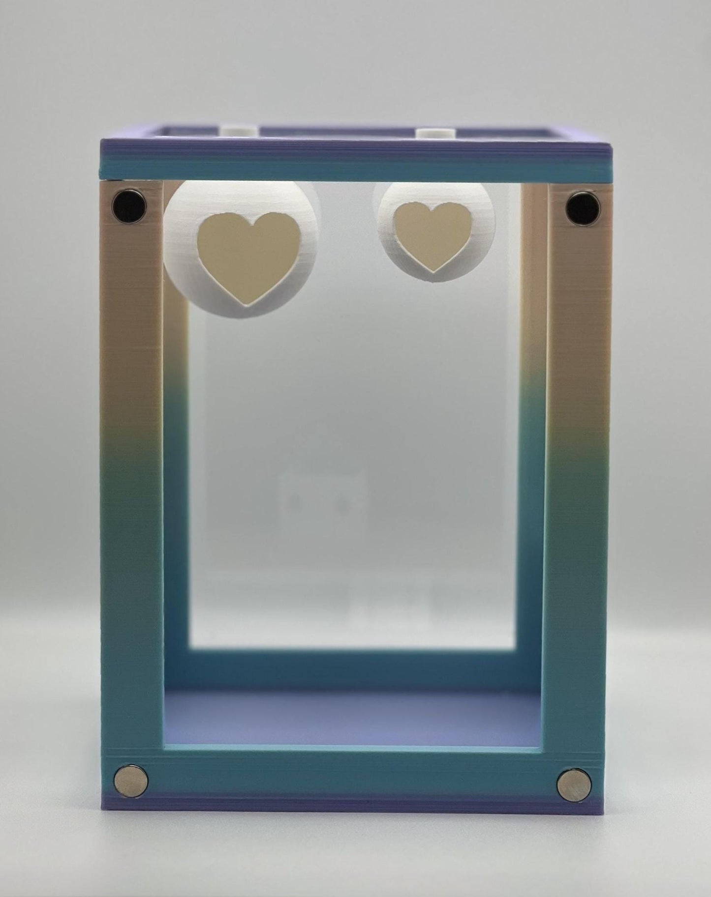 Magnetic Heart Ball Jumping Spider Hides