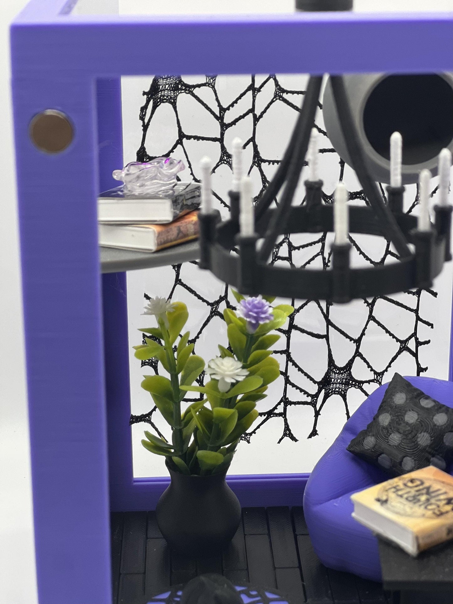 Reading Room Lounge Decorated Jumping Spider Enclosure