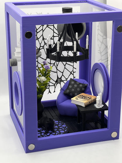 Reading Room Lounge Decorated Jumping Spider Enclosure