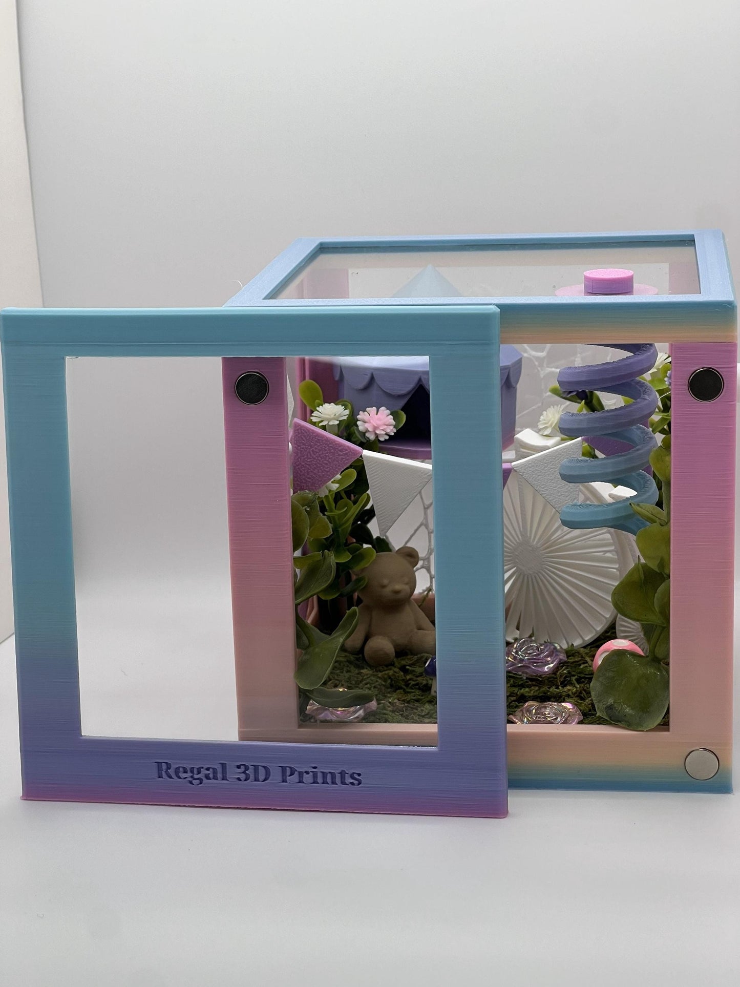 Circus-Themed Jumping Spider Decorated Enclosure | Habitat