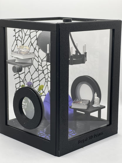 Reading Room Lounge Decorated Jumping Spider Enclosure