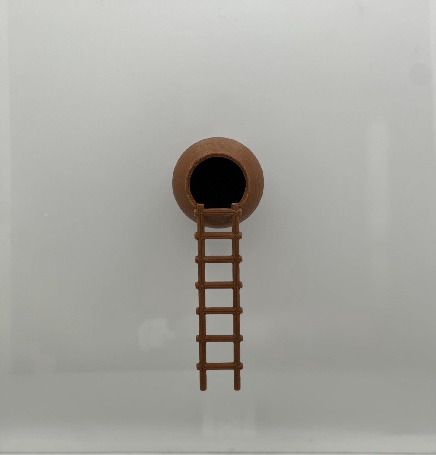 Magnetic Hide with Ladder – Jumping Spider Hideout