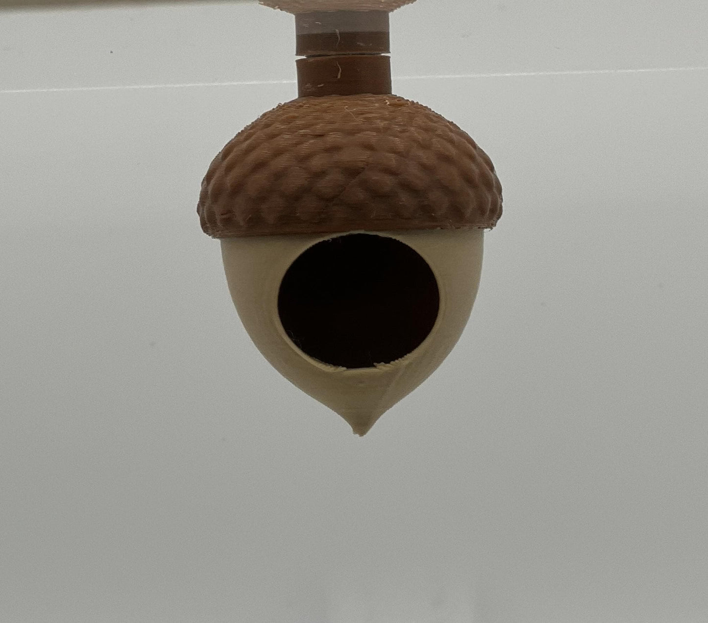 Magnetic Acorn Hide – Jumping Spider Hide