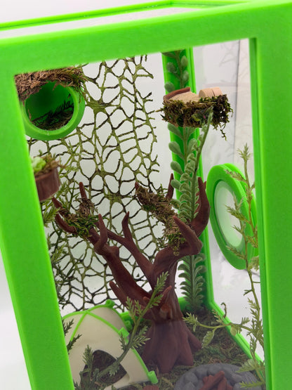 Forest Campout | Camping Decorated Jumping Spider Enclosure | Habitat