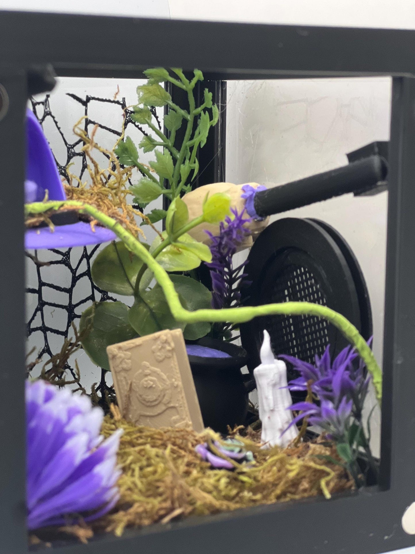 Enchanted Purple Witch Enclosure – Decorated Jumping Spider Habitat