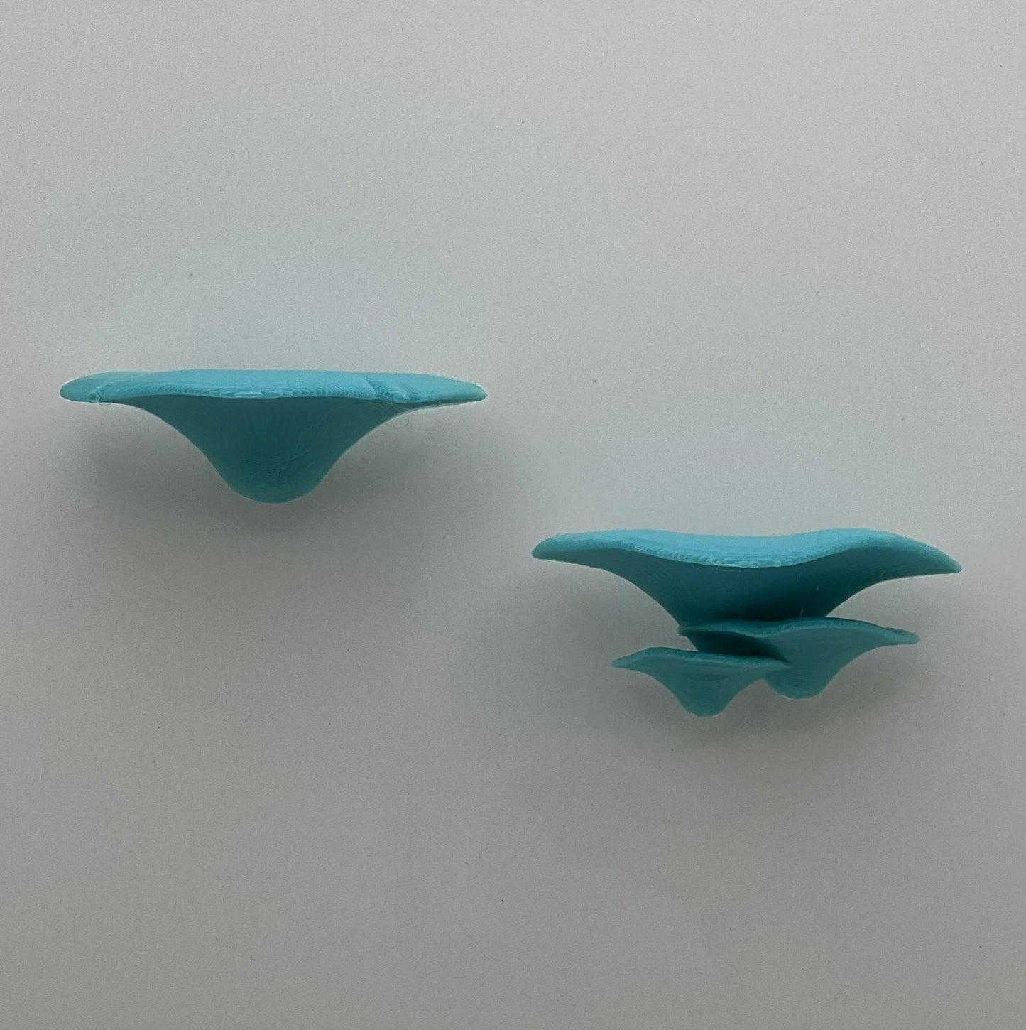 Magnetic Mushroom Ledge Set – Jumping Spider Perches | Shelf