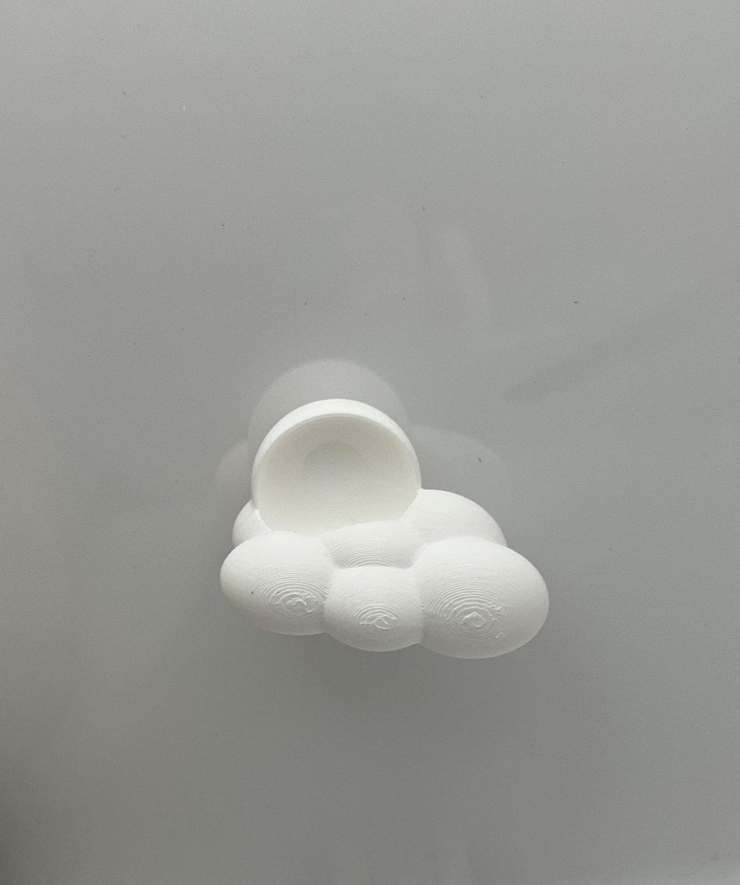 Magnetic Jumping Spider Cloud Hide | Decor