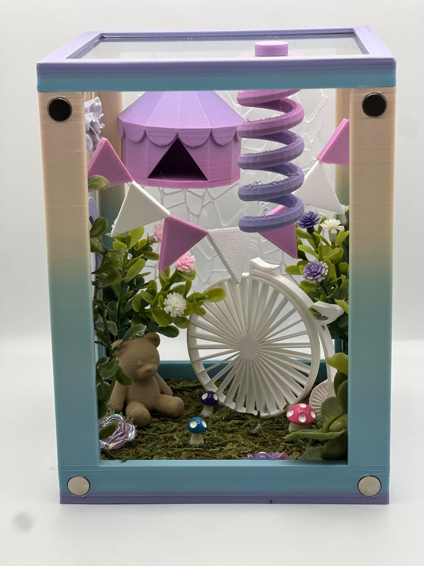 Circus-Themed Jumping Spider Decorated Enclosure | Habitat