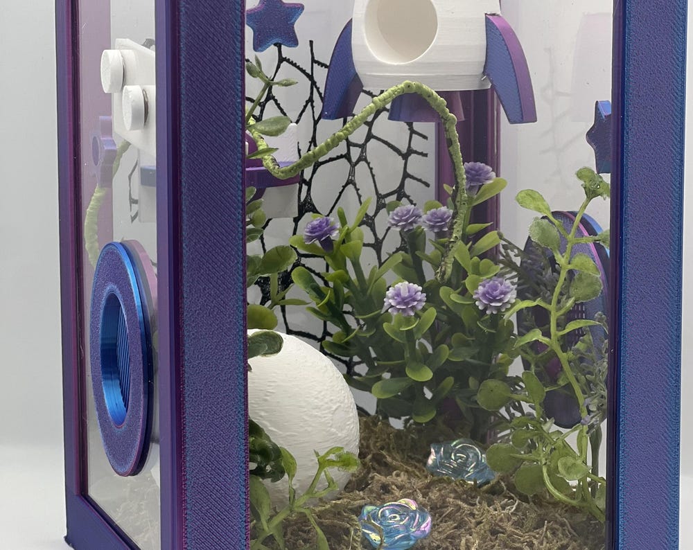 Cosmic Rocket Galaxy Decorated Jumping Spider Enclosure