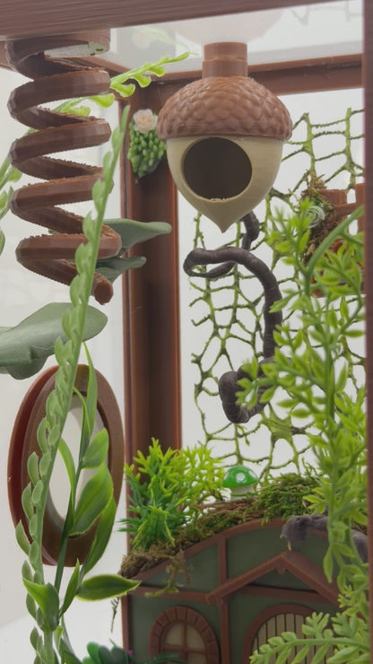 Woodland Cottage Themed Jumping Spider Enclosure | Habitat